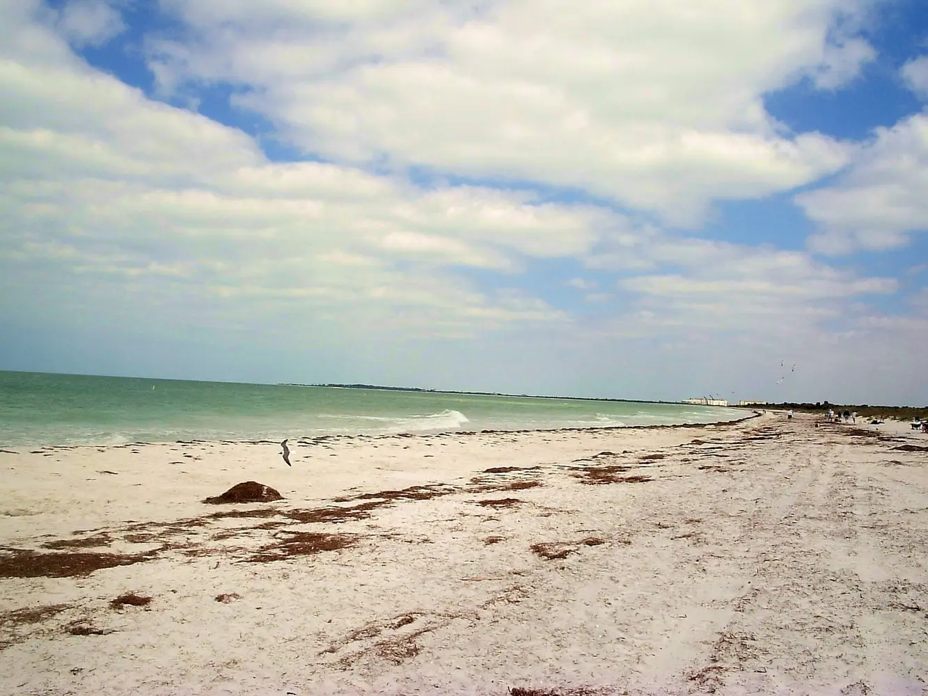 Natural white-sand shoreline at Caladesi Island State Park