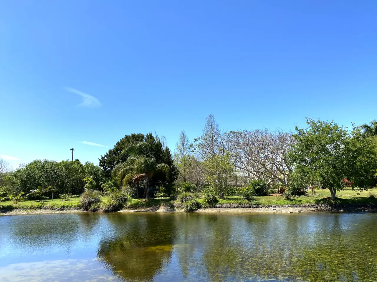 Lake, bridge and tropical plantings at Palma Sola Botanical Park