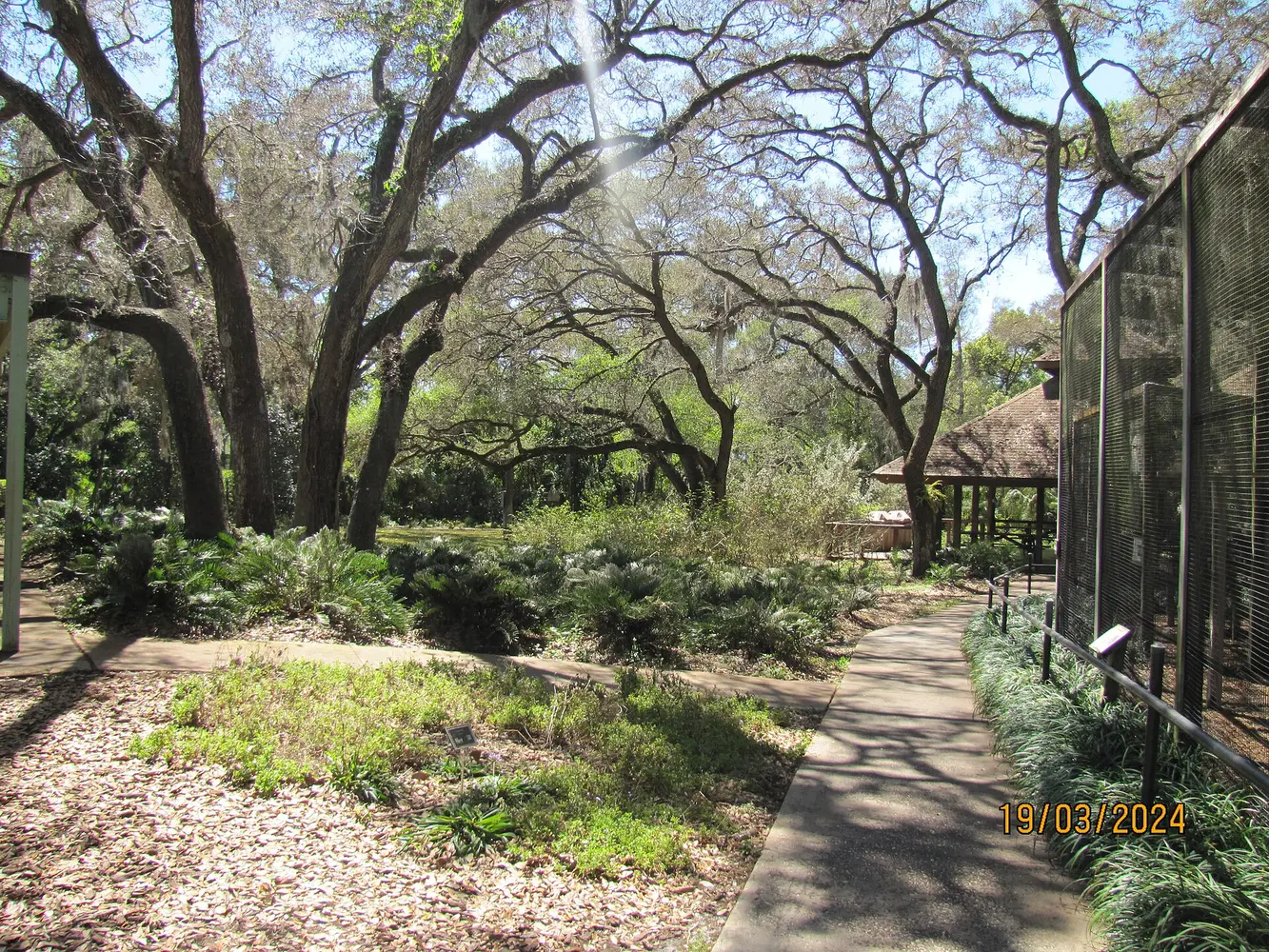Shaded woodland walkway inside Moccasin Lake Nature Park