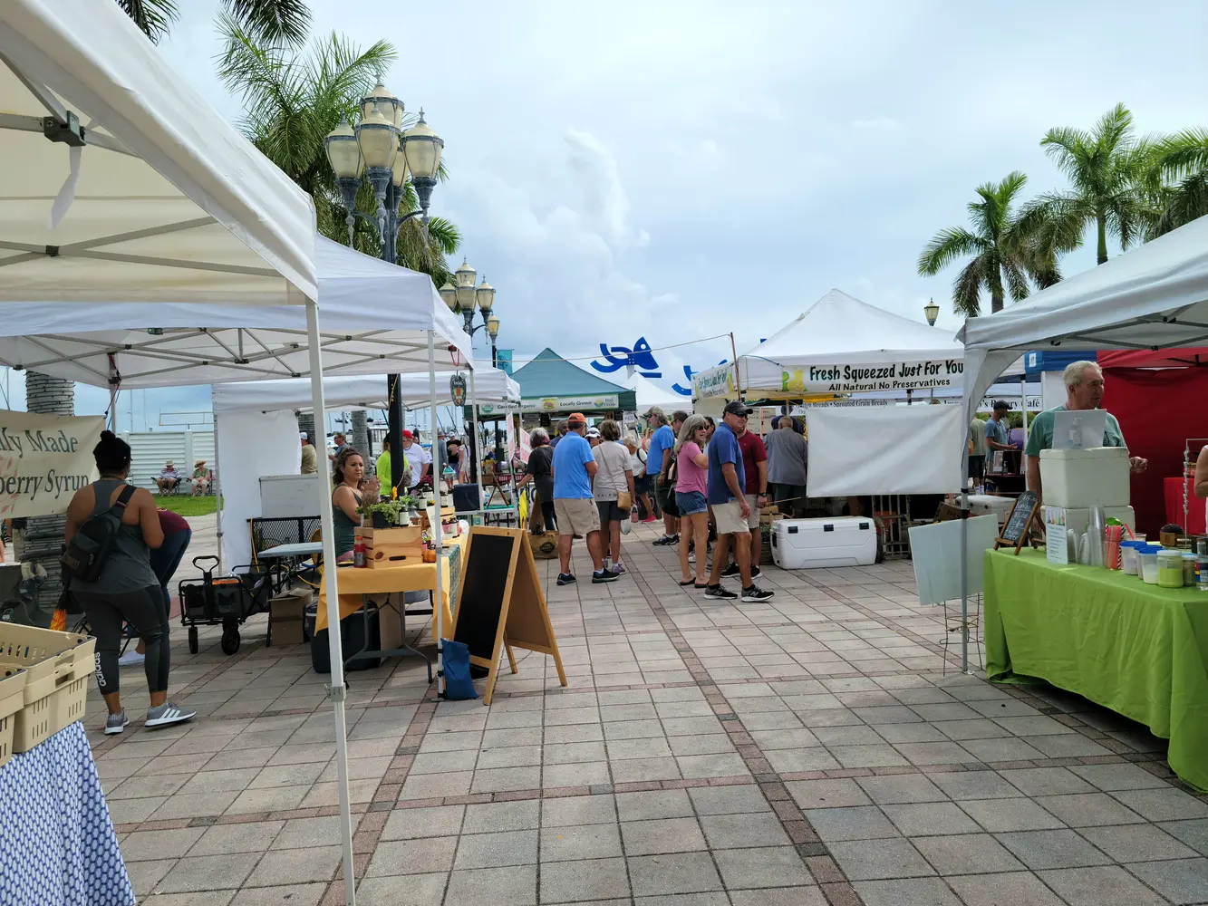 Colorful produce stands at a representative Florida farmers market