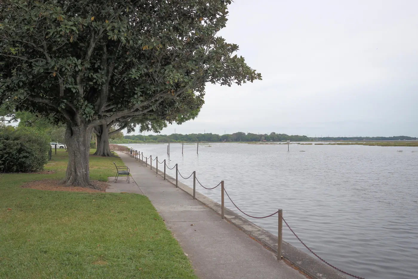 Representative landscaped Florida lakefront park with open water views