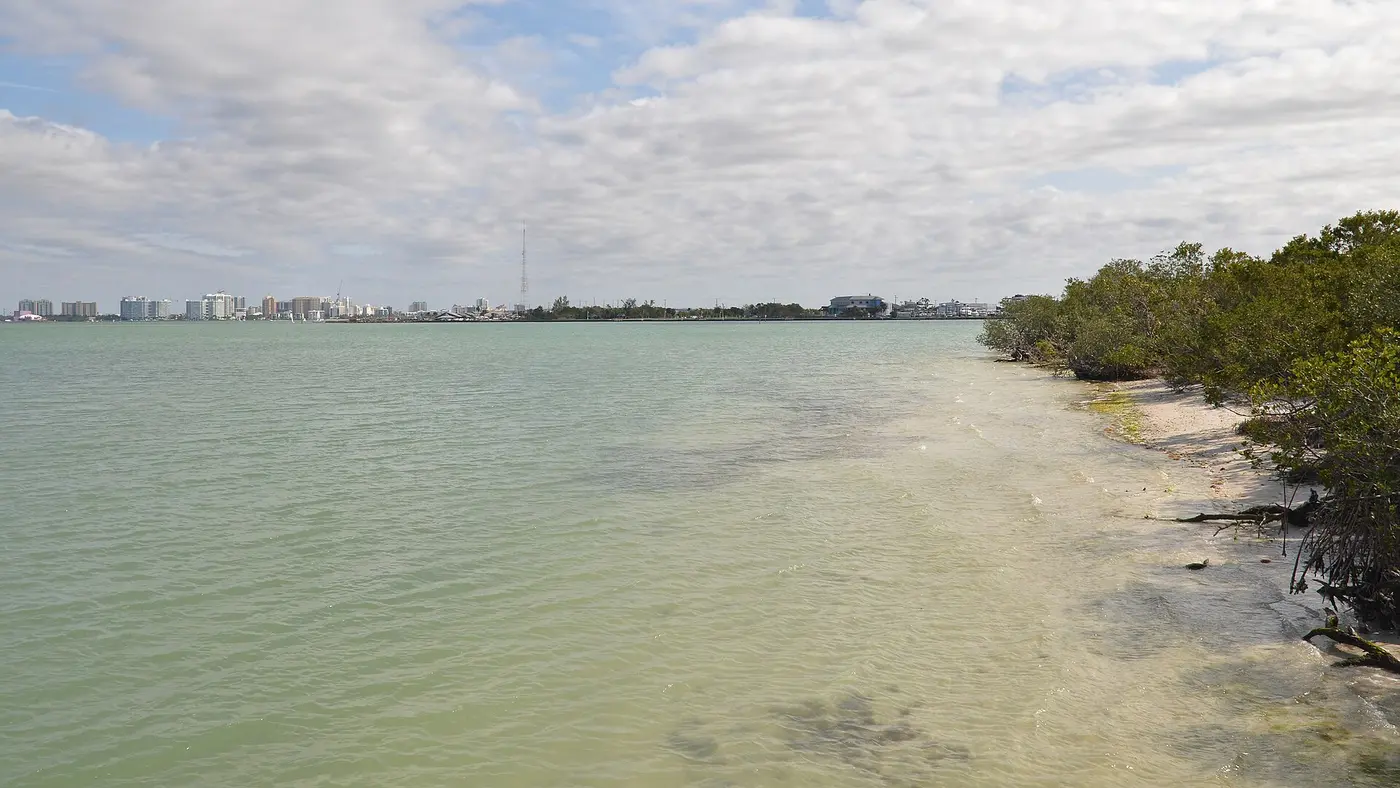 Sarasota Bay shoreline and mangroves viewed from Longboat Key