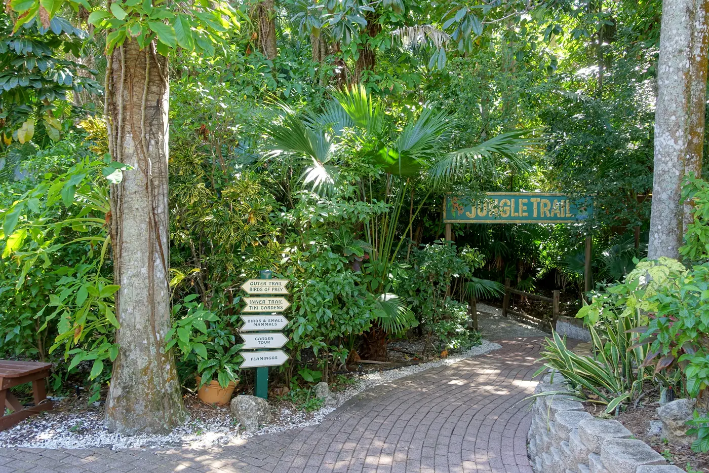 Tropical walking path surrounded by palms at Sarasota Jungle Gardens