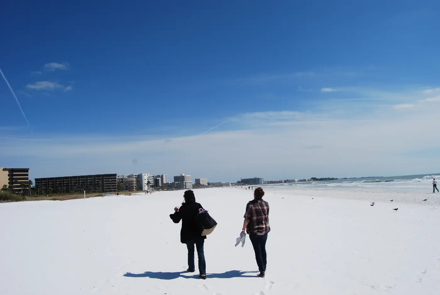 Quiet stretch of Gulf shoreline near Crescent Beach on Siesta Key