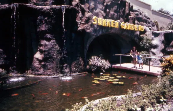 Koi pond surrounded by tropical foliage at Sunken Gardens