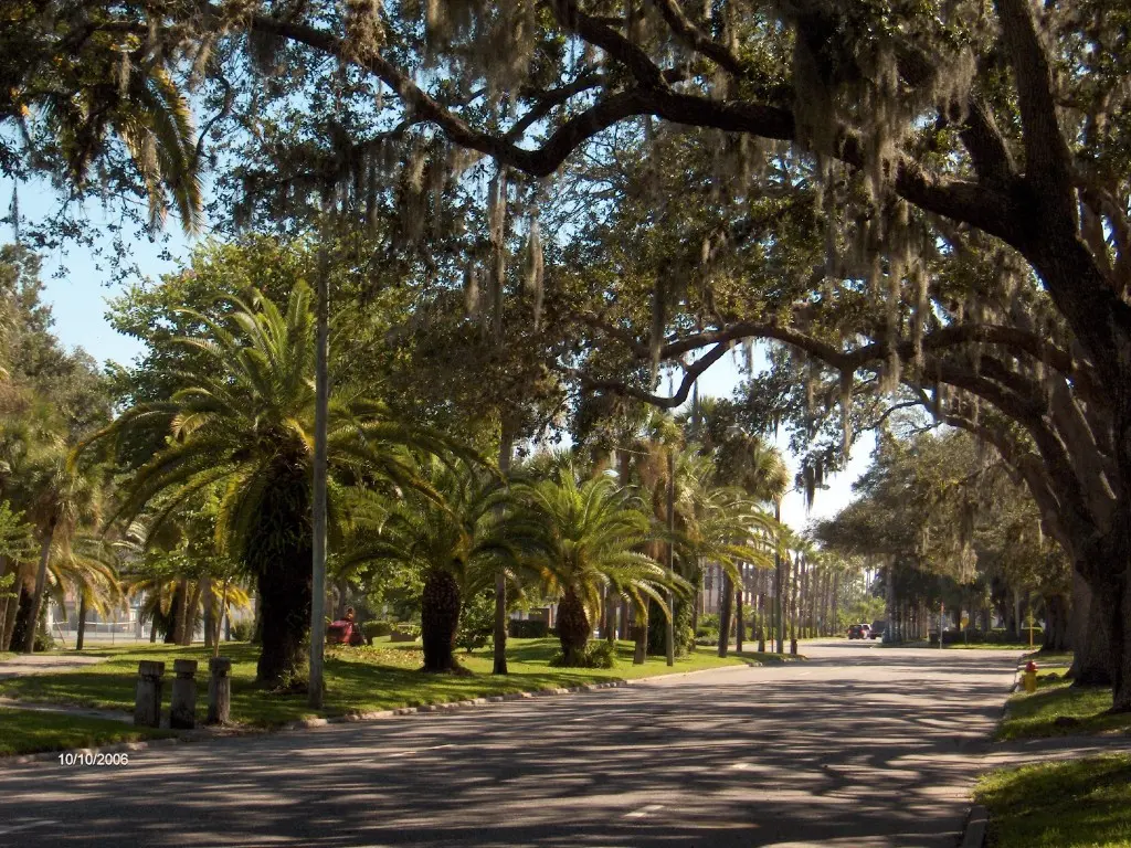 Palm-lined West Venice Avenue leading from historic downtown toward Venice Beach