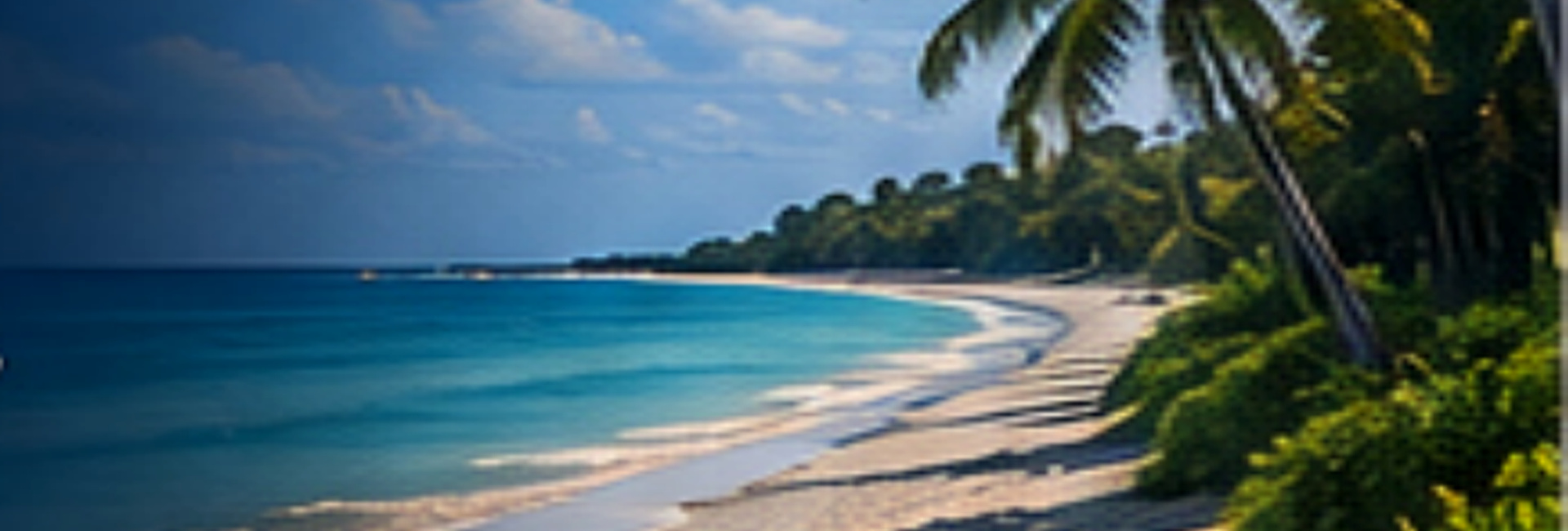 Florida Gulf Coast beach with palms